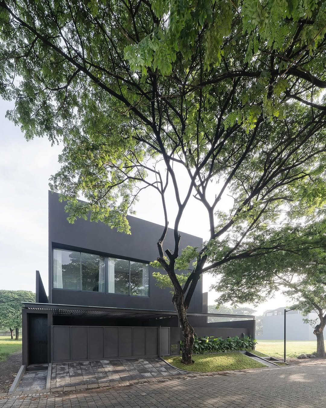 Yard & Greyish